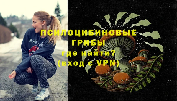 мяу мяу кристалл Богданович