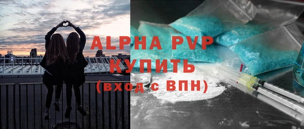 мяу мяу кристалл Богданович